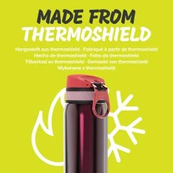 Water Bottles Ion8 Leak Proof Steel Water Bottle, Vacuum Insulated, Claret Red, 320ml