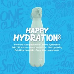 Water Bottles Ion8 Leak Proof Vacuum Insulated Stainless Steel Water Bottle, 500ml (17oz), Sonic