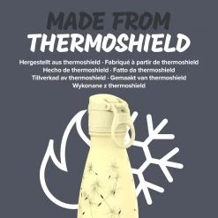 Ion8 Leak Proof Water Bottle, Vacuum Insulated, Dandelions, 280ml (10oz) Water Bottles 12 Ion8 Leak Proof Water Bottle, Vacuum Insulated, Dandelions, 280ml (10oz) Water Bottles