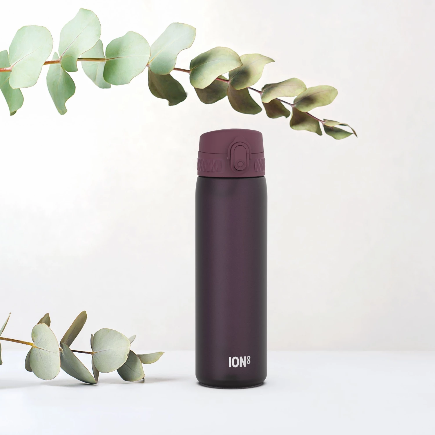 Water Bottles Ion8 Leak Proof Slim Water Bottle, BPA Free, Blackberry, 600ml (20oz) 2 Water Bottles Ion8 Leak Proof Slim Water Bottle, BPA Free, Blackberry, 600ml (20oz)