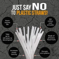 Ion8 Collapsible Reusable Stainless Steel Drinking Straw With Travel Case, Pink Xtras & Add-Ons